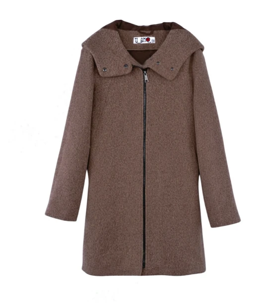 Elegant Winter Hoodie Jacket