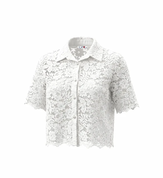 Elegant Lace Blouse